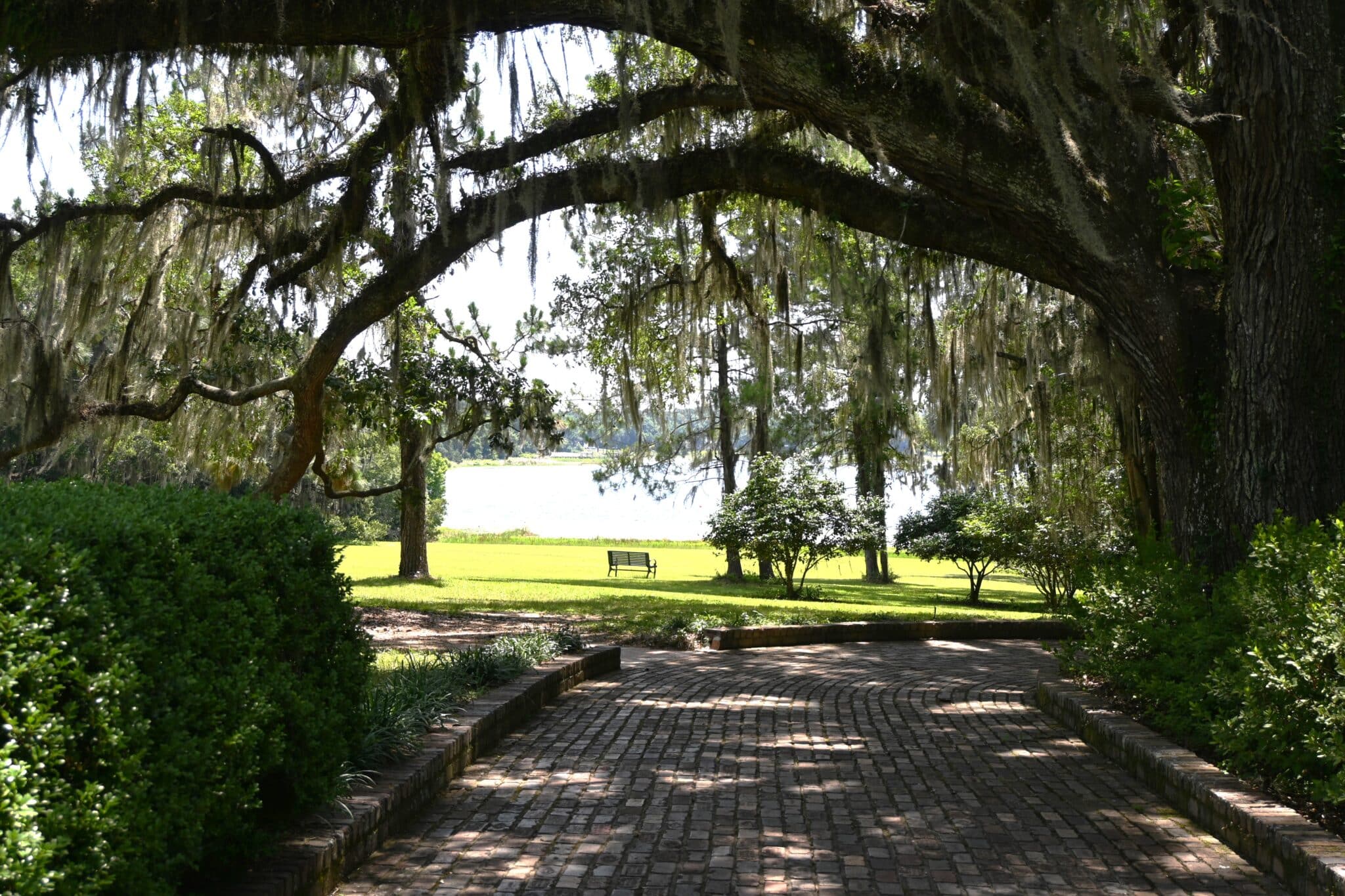 Photo 26 - Courtney Beck